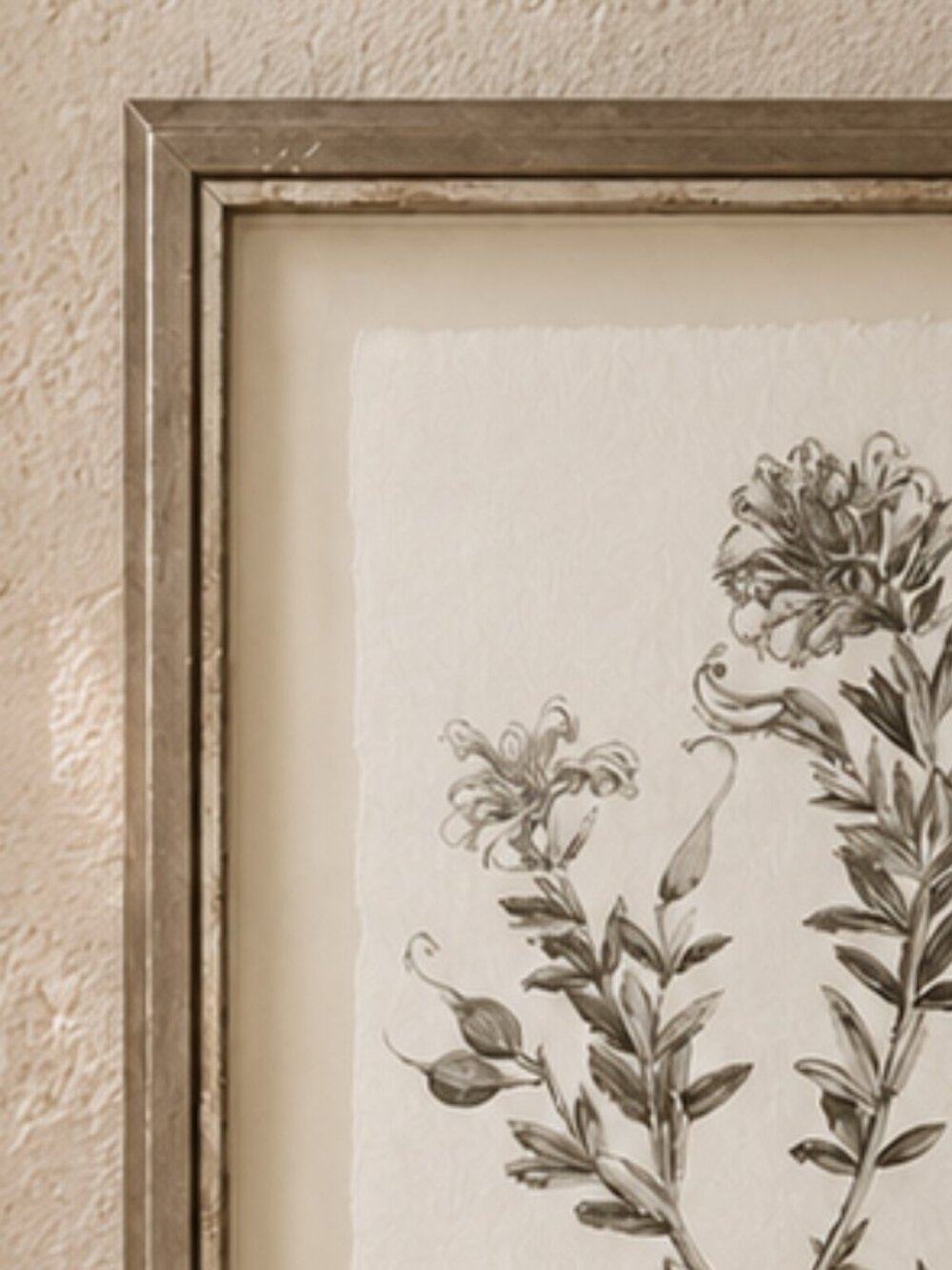 Botanical Study in Sage Floral Illustration Framed Wall Art Print - Picture 3 of 7